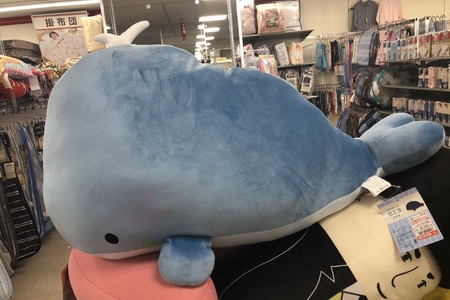 しまむら『クジラ』の抱き枕が可愛い♡超ビッグサイズで存在感抜群！クッションにもオススメ！品番まとめ！ | Jocee
